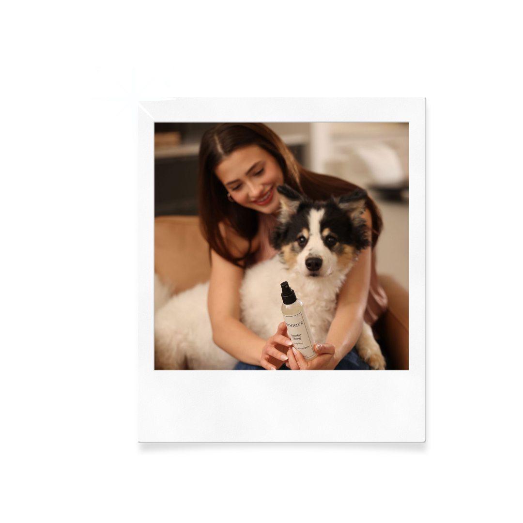 Pet-safe room and linen spray for homes with dogs and cats — Animique