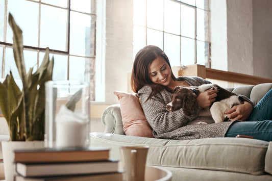 How to Make Your Home Smell Expensive