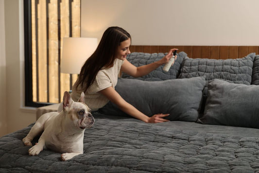 How to fragrance a bedroom - Animique room and linen spray