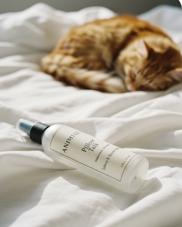 Room Spray and Cats: What You Should Know Before You Spray