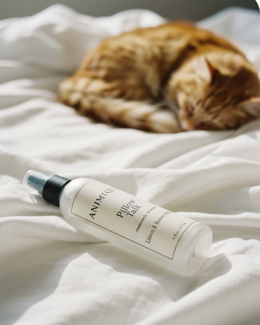 Room Spray and Cats: What You Should Know Before You Spray