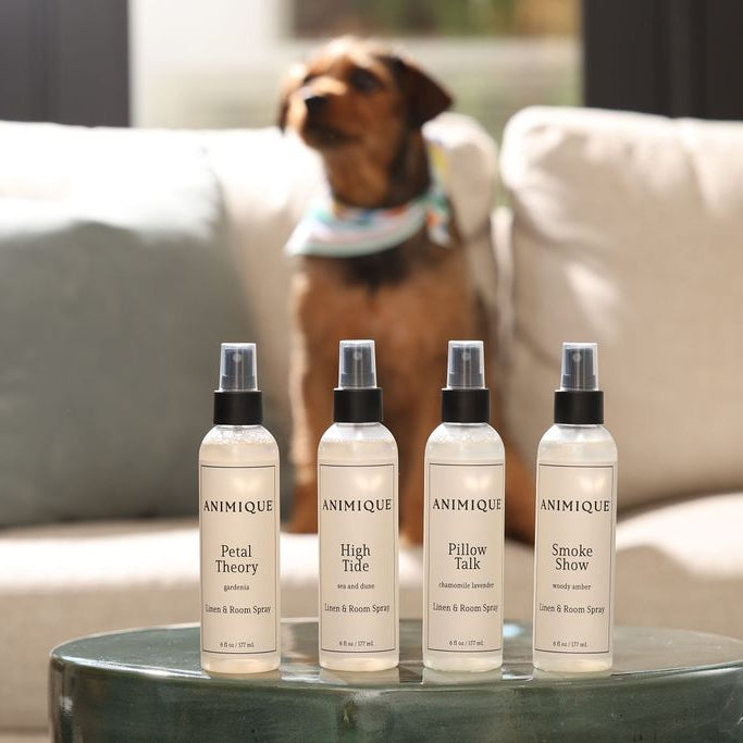 Four bottles of room and linen spray by Animique — pet-safe home fragrance on a table with a dog sitting in the background.