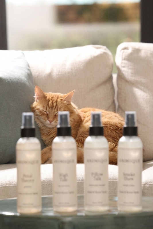 The Common Scents Collection