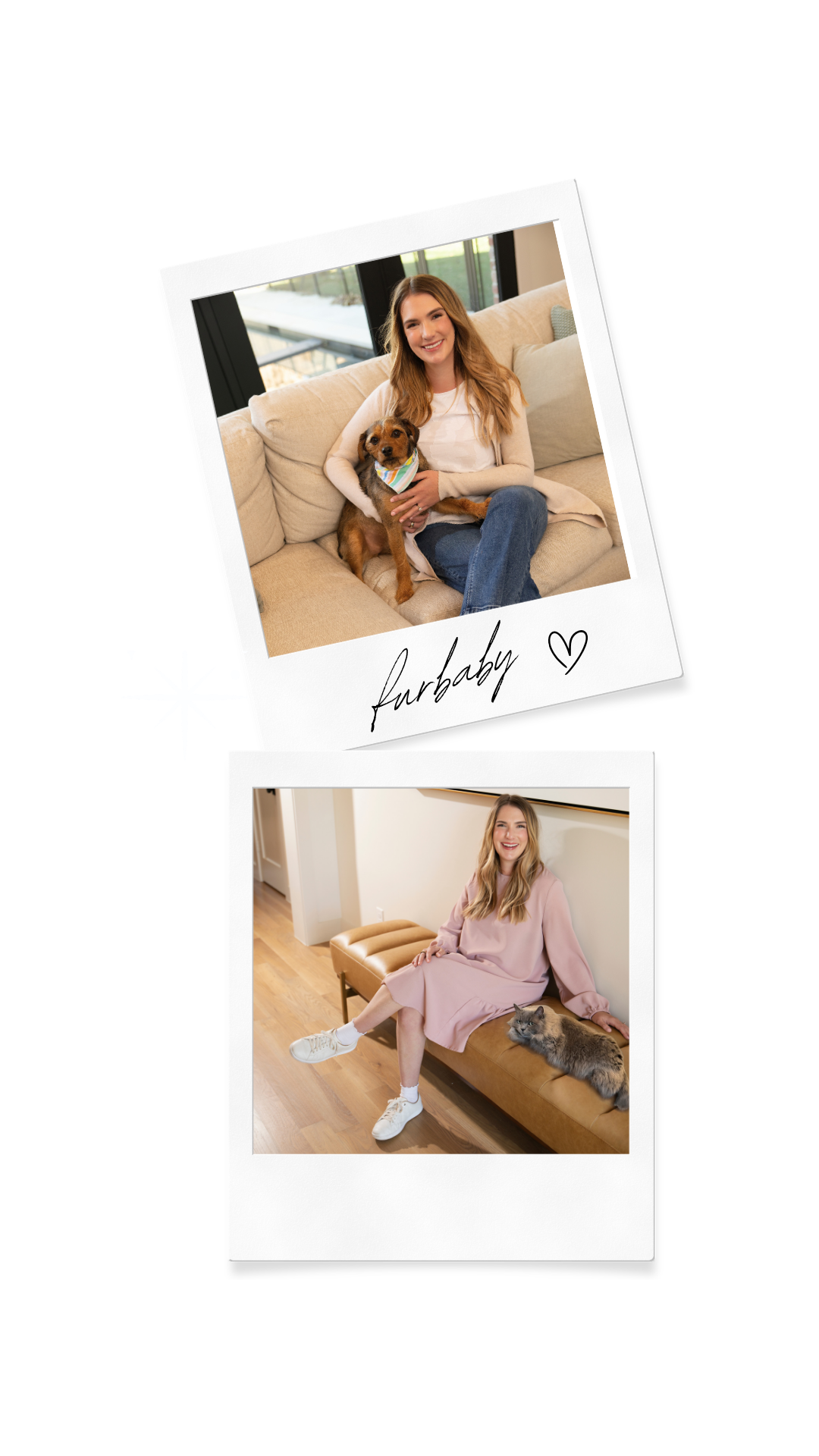 Pet-safe room and linen spray for homes with dogs and cats — Animique
